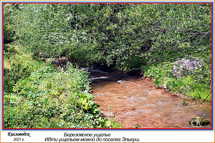 Бу_062 =DSC^2021#0319.JPG
