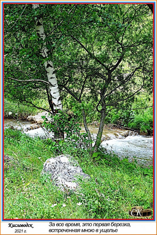 Бу_066 =DSC^2021#0329.JPG