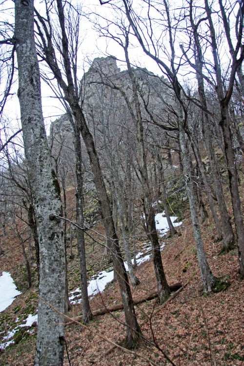 IMG_2839.JPG
