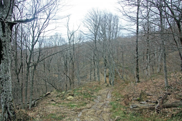 IMG_2860.JPG