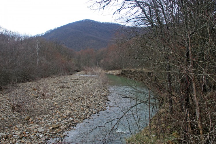 IMG_9110.JPG