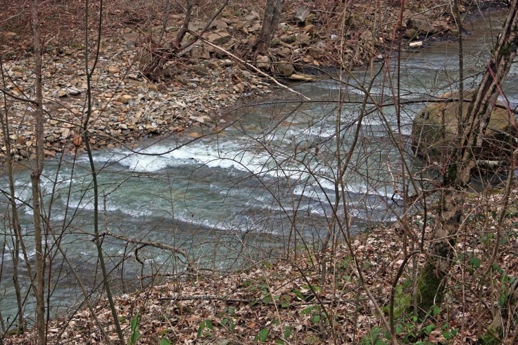 IMG_9117.JPG