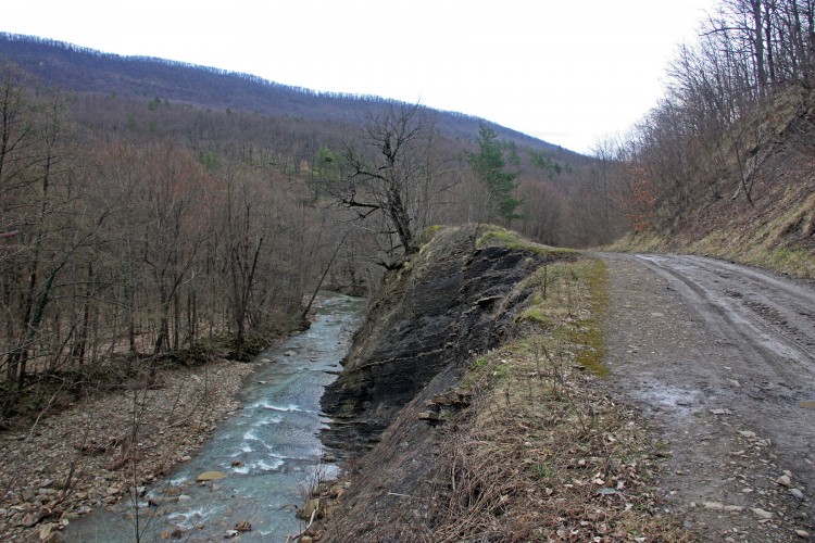 IMG_9122.JPG