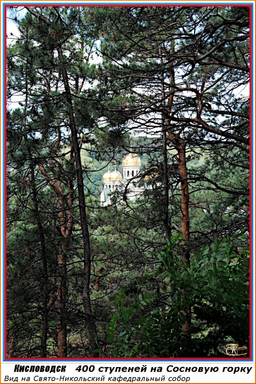 Сг_011 =DSC^2021#0122.jpg