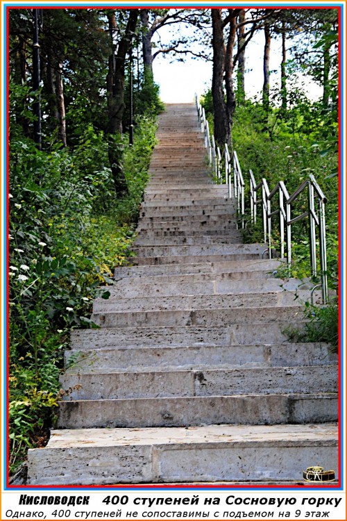 Сг_017 =DSC^2021#0130.JPG