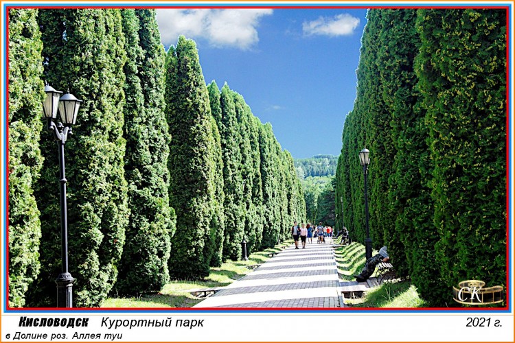 Др_003-03 аллея туи в Долине роз =DSC^2021#0492.jpg