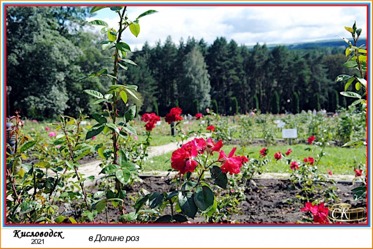 Др_004-12 в Долине роз =DSC^2021#0487.JPG