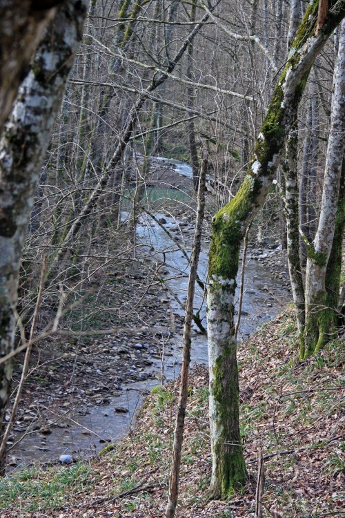 IMG_9154.JPG
