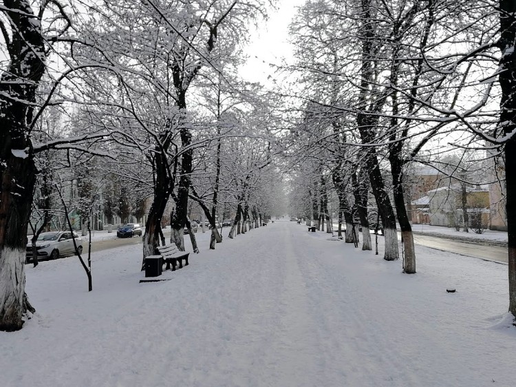 2 снег 3.jpg