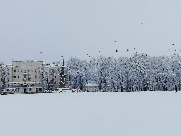 2 снег 5.jpg