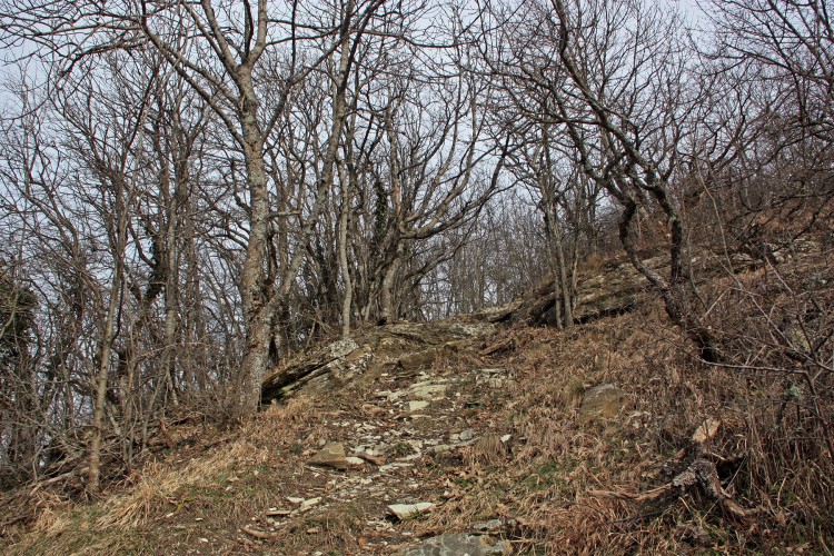 IMG_9688.JPG
