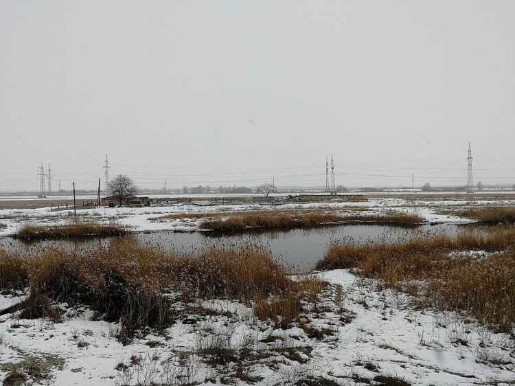 цик 17.2.23.2.jpg