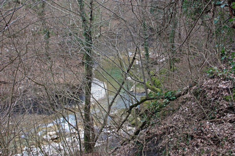 IMG_9777.JPG