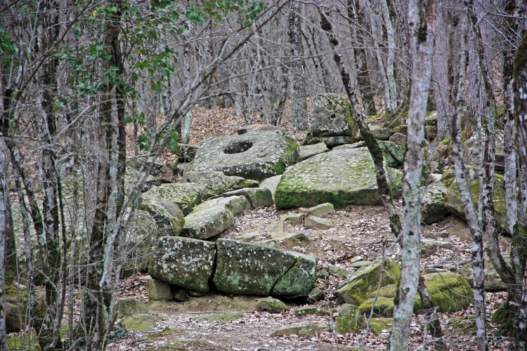 IMG_9786.JPG