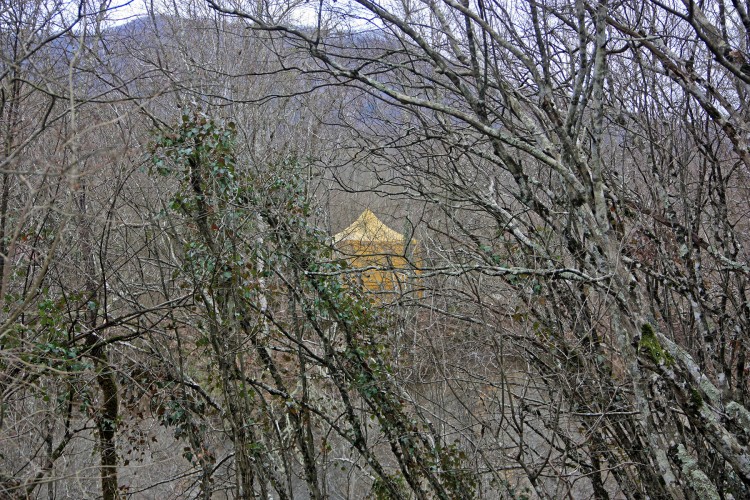 IMG_9790.JPG