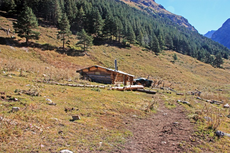 IMG_5706.JPG