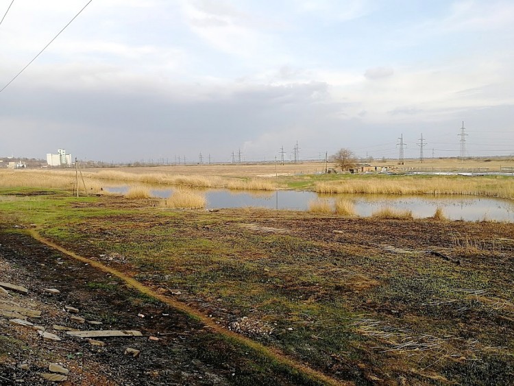 цик 1 22.03.23.jpg