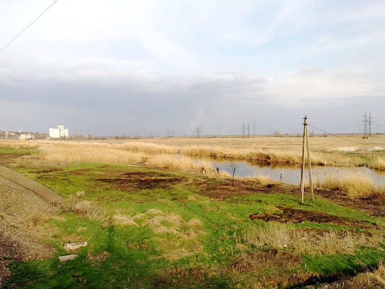 цик 2 22.03.23.jpg