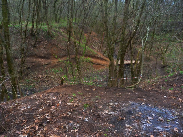 P1300632.JPG