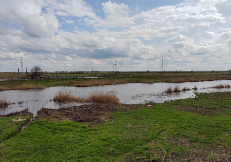 аксай 10.4.23. 1.jpg