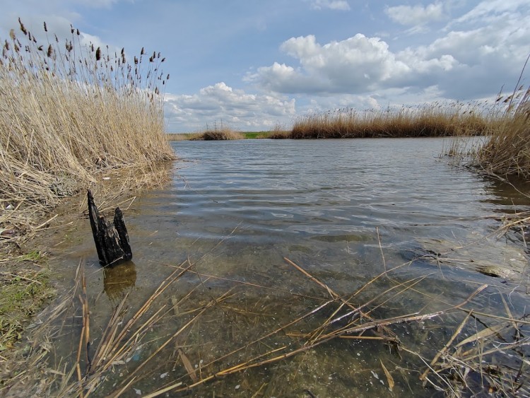 аксай 10.4.23. 3.jpg