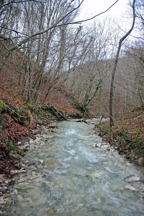 IMG_6870.JPG