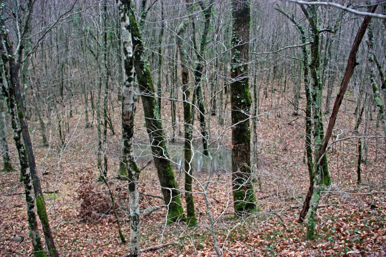 IMG_6884.JPG