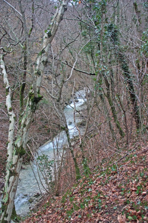IMG_6887.JPG