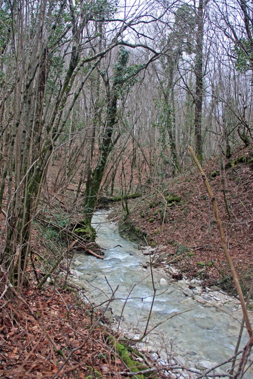 IMG_6900.JPG