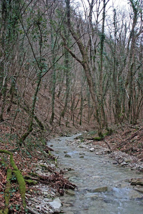 IMG_6934.JPG