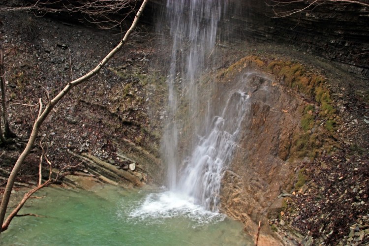 IMG_6961.JPG