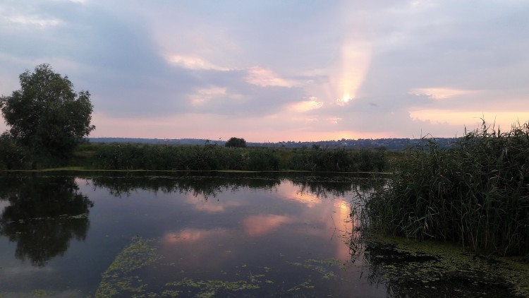 20230802_192123.jpg