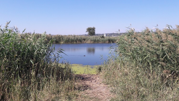 20230918_112530.jpg