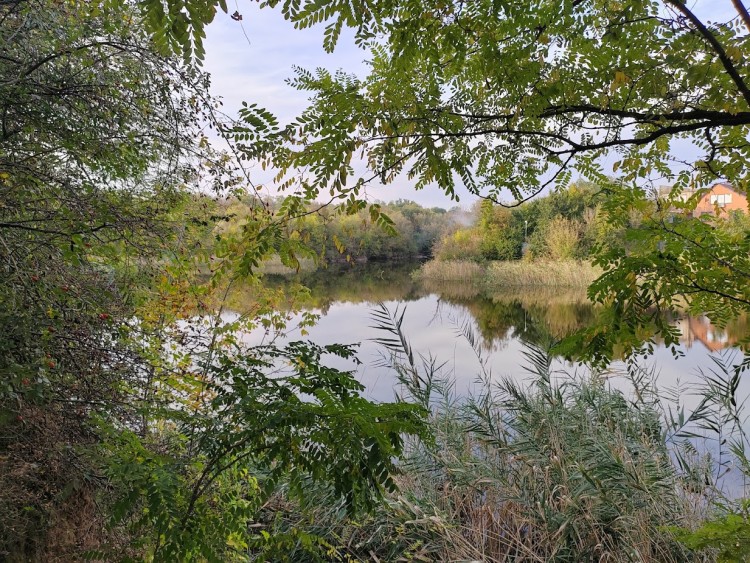 пруд осень 1.jpg