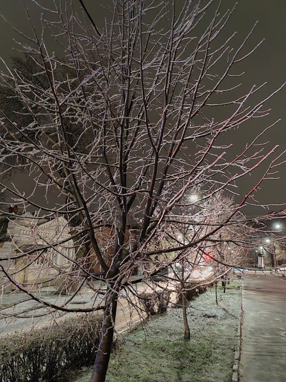 12.12.23. 3.jpg