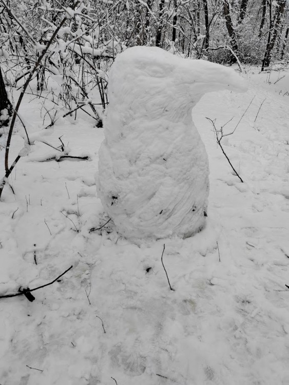 снеговик-ворон.jpg