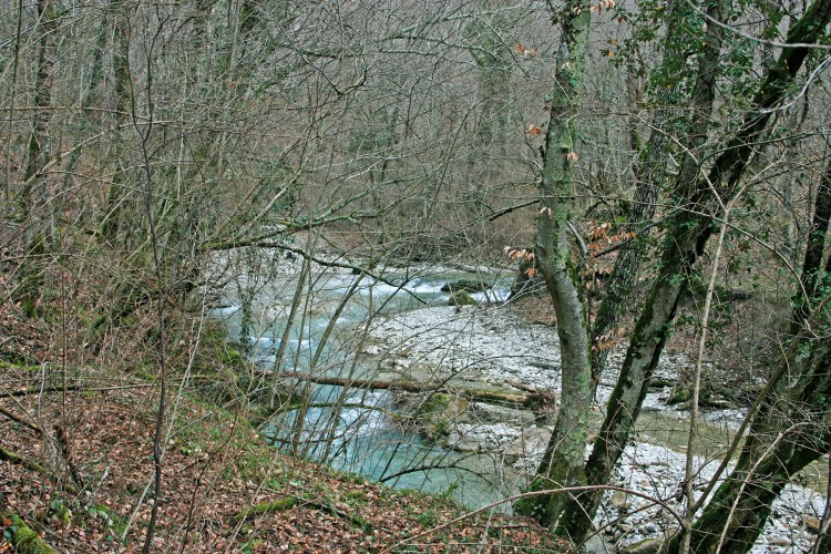 IMG_8079.JPG