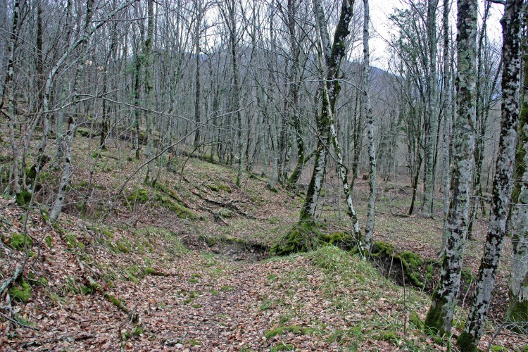 IMG_8122.JPG