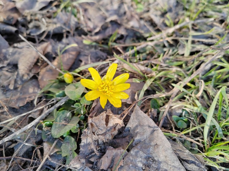 чистяк 2024.jpg