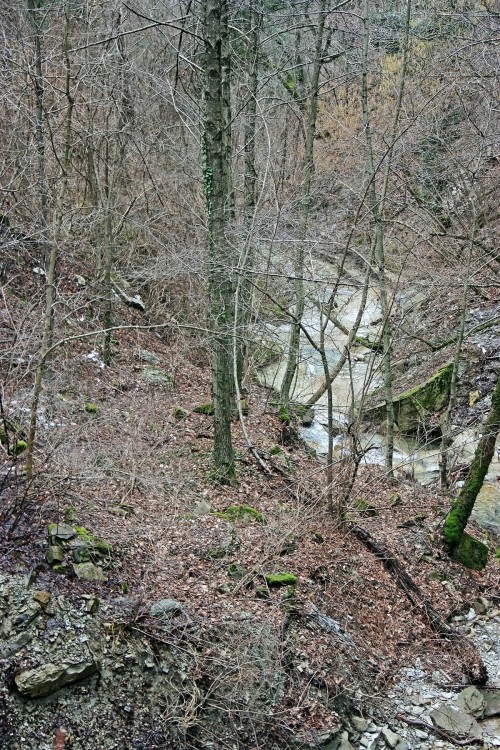 IMG_8671.JPG