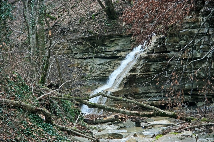 IMG_8686.JPG