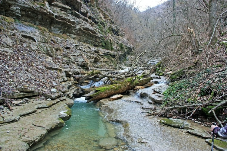 IMG_8708.JPG