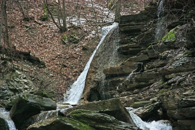 IMG_8756.JPG