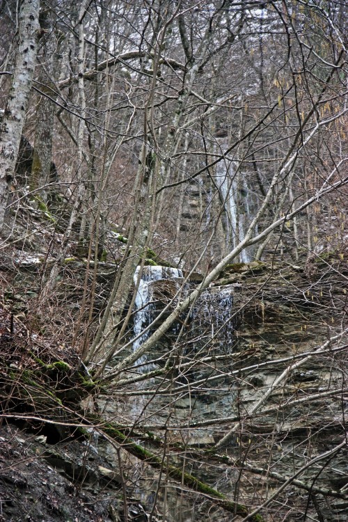 IMG_8823.JPG