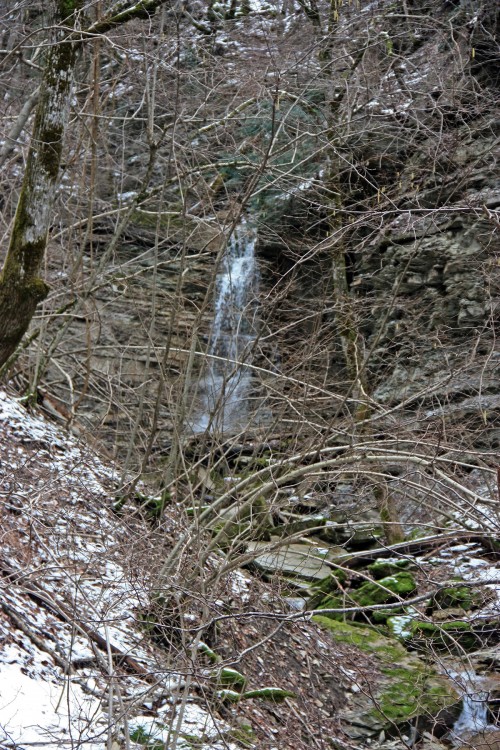IMG_8829.JPG