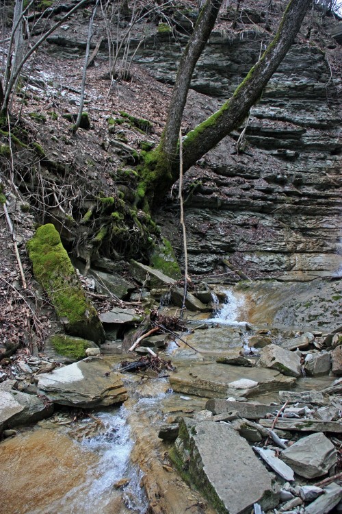 IMG_8838.JPG