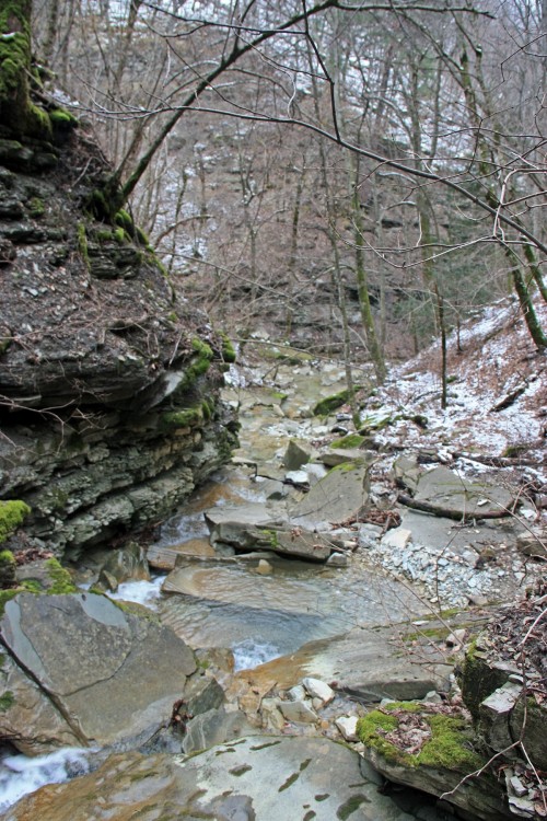 IMG_8844.JPG