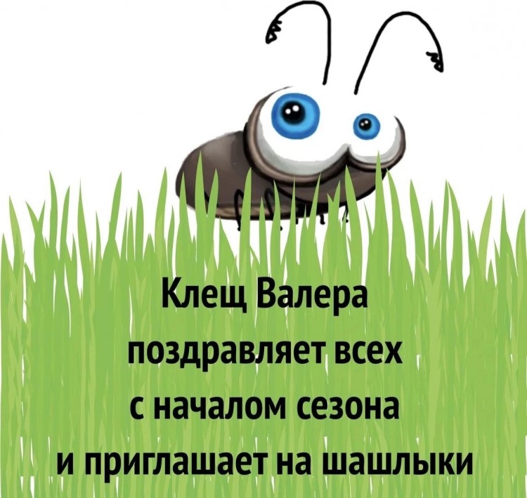 Клещ.jpg