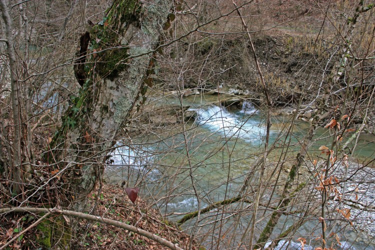 IMG_9300.JPG