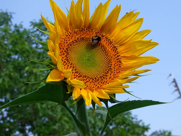 DSCF7026.jpg